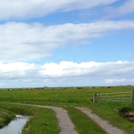 Apartmán De Vrijheid *