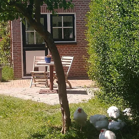 De Vrijheid