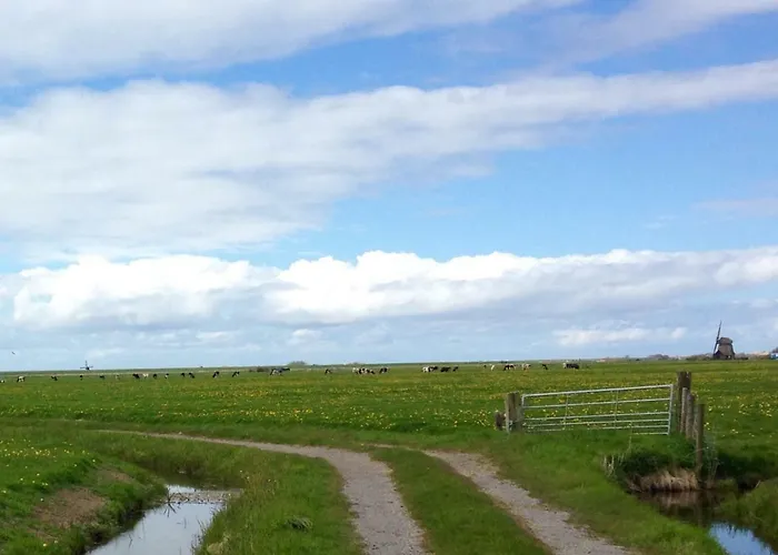 公寓 De Vrijheid *