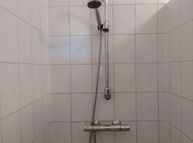 公寓 De Vrijheid 赫鲁特